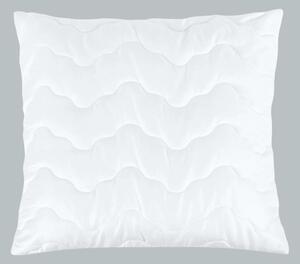 Bellatex Výplňkový polštář s proševem bílá, rozměr 40x40 cm, 220g