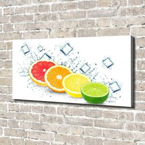 Foto obraz na plátně do obýváku Citrusové ovoce oc-105914102