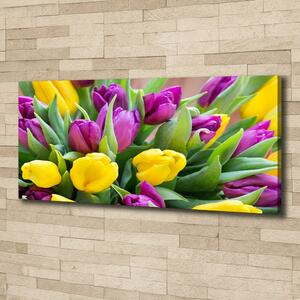 Foto obraz canvas Barevné tulipány oc-106061917