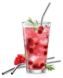 Nerezové slámky myDRINK, 4 ks, s čisticím kartáčkem