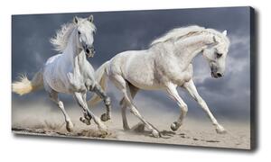 Foto obraz tištěný na plátně Bílí koně pláž oc-106869148