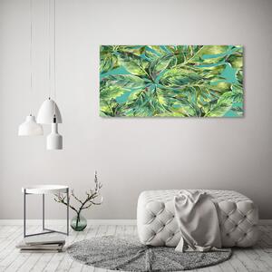 Moderní foto obraz na stěnu Tropické listí osh-108364135