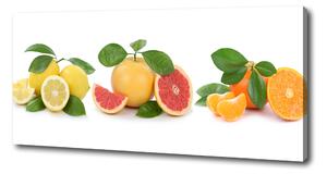 Foto obraz na plátně Citrusové ovoce oc-108945081