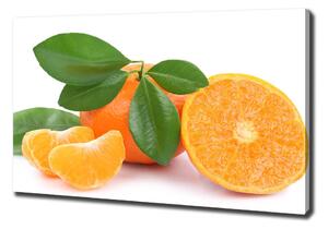 Foto obraz na plátně Citrusové ovoce oc-108945081