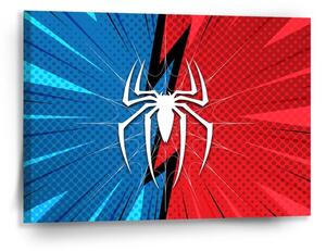 Sablio Obraz Spider - 90x60 cm
