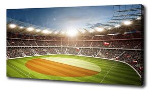 Foto obraz canvas Stadion Polsko oc-111485532