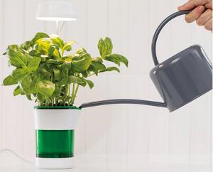 Verk 12319 Lampa pro pěstování rostlin 6 LED, 4 UV samozavlažovací květináč