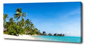 Foto obraz na plátně Pláž na Karibských ostrovech oc-112295720