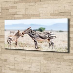 Foto obraz na plátně do obýváku Zebry v horách oc-112483528