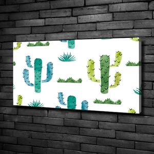 Foto obraz na plátně do obýváku Kaktusy oc-112541651