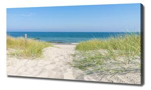 Foto obraz tištěný na plátně Mořské duny oc-113707111