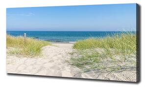 Foto obraz tištěný na plátně Mořské duny oc-113707111