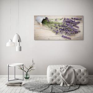 Foto obraz na plátně do obýváku Levandule v květináči oc-114001511