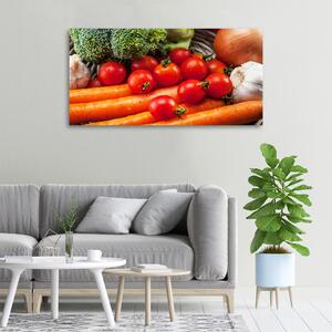 Moderní obraz canvas na rámu Zelenina oc-114421600