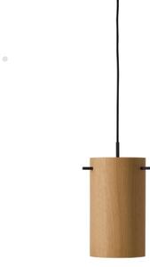 FM1954 small FRANDSEN