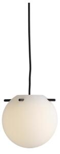 Koi 19 FRANDSEN