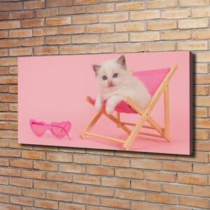 Foto obraz na plátně Kočka na lehátku oc-116809359