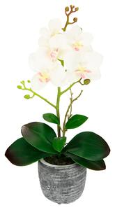 KLiNGEL Orchidej v květináči krémová, krémová-bílá