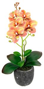 KLiNGEL Orchidej v květináči oranžová, oranžová