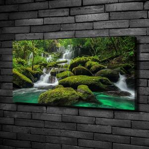 Foto obraz na plátně Vodopád v lese oc-116886736