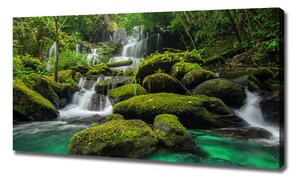 Foto obraz na plátně Vodopád v lese oc-116886736