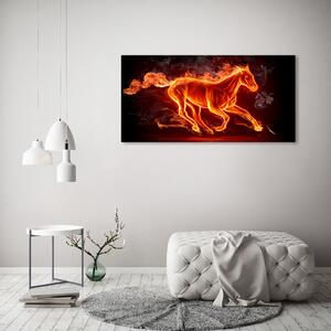 Foto obraz tištěný na plátně Kůň v plamenech oc-11746508
