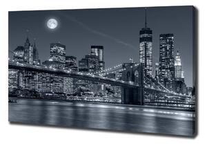 Foto obraz na plátně Manhattan New York oc-117559535