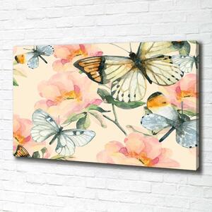 Foto obraz na plátně Motýli a květiny oc-117916209