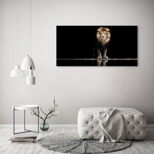 Foto obraz na plátně do obýváku Portrét lva oc-118199528
