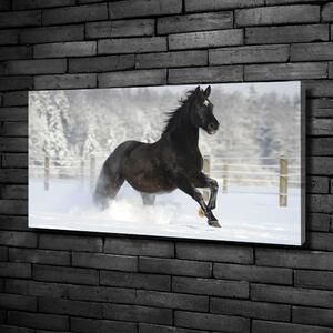 Foto obraz canvas Kůň ve cvalu sníh oc-118892522