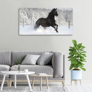 Foto obraz canvas Kůň ve cvalu sníh oc-118892522