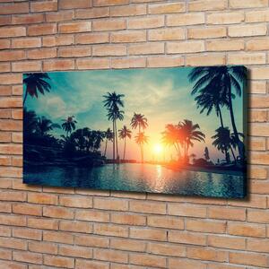 Foto obraz na plátně Západ slunce palmy oc-118937012