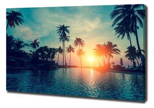 Foto obraz na plátně Západ slunce palmy oc-118937012