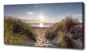 Foto obraz na plátně Mořské duny oc-119215284