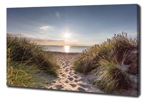 Foto obraz na plátně Mořské duny oc-119215284