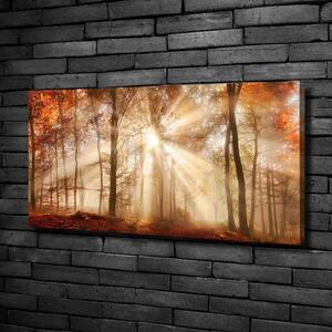 Foto obraz na plátně Mlha v lese podzim oc-119225469