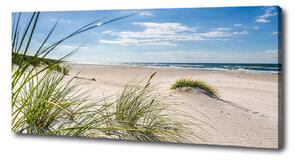 Foto obraz canvas Mřežino pláž oc-120152724