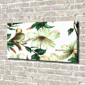 Moderní obraz canvas na rámu Květ ibišku oc-120179514
