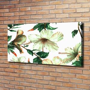 Moderní obraz canvas na rámu Květ ibišku oc-120179514