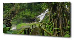 Foto obraz na plátně Vodopád v džungli oc-120475287