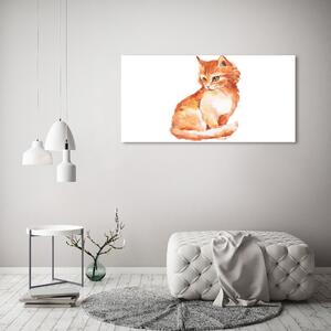 Foto obraz na plátně Červená kočka oc-120895228