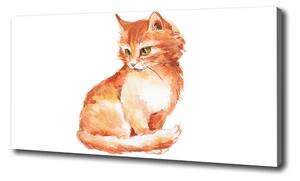 Foto obraz na plátně Červená kočka oc-120895228