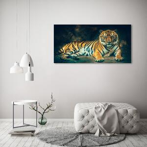Foto obraz na plátně Tygr v jeskyni oc-121530926