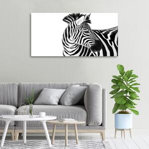 Foto obraz canvas Zebra ve sněhu oc-121577688