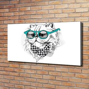 Foto obraz na plátně Kočka v brýlích oc-121703839
