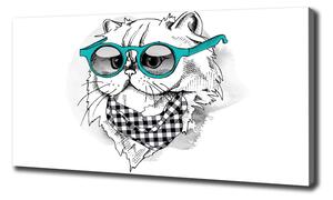 Foto obraz na plátně Kočka v brýlích oc-121703839