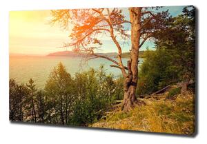 Foto obraz na plátně Jezero Skandinávie oc-121778519