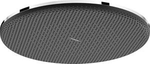 Hlavová sprcha Hansgrohe Raindance Alive S na strop nebo na stěnu chrom 24520000