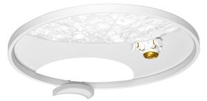 Brilagi - LED Stmív. stropní svítidlo ASTRO LED/20W/230V 3000-6000K astronaut+DO
