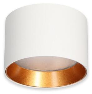 McLED Finca 8 ML-416.049.33.2 Stropní LED osvětlení 9 cm, bílá/zlatá